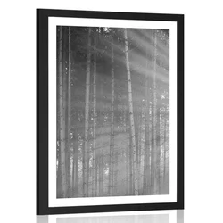Plakat s paspartujem sonce za drevesi v črnobeli varianti - 20x30 black