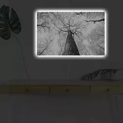 Wallity Slika sa LED osvetljenjem 4570DHDACT-068, 45x70 cm