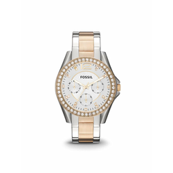 FOSSIL ES 3204
