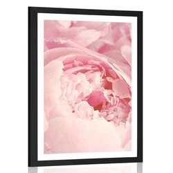 Plakat s paspartujem cvetovi - 20x30 silver