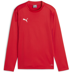Mikica Puma teamGOAL Training Sweat Jr