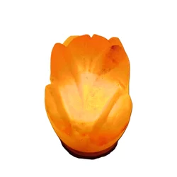 Fantastico Stona kristalna lampa Lotus