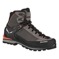 CIPELE SALEWA CROW GTX