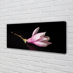 tulup.si Slika na platnu Cvet vode 140x70 cm