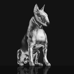 Riskee And The Ridicule - Platinum Statue (Limited Edition) (Coloured) (LP)