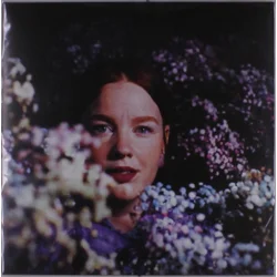 The Art Company - Susanna (LP)