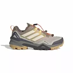Adidas TERREX SKYCHASER GTX W, planinarske cipele, bež NJZ27