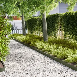 Ograda oko Travnjaka 20 pcs Maslinasto zelena