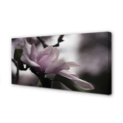tulup.si Slika na platnu Magnolia 140x70 cm
