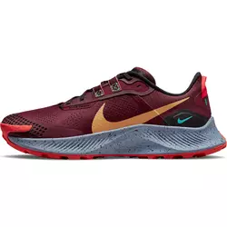 Trail tenisice Nike Pegasus Trail 3