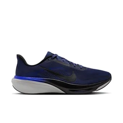 Nike Pegasus 42