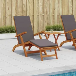 Ležaljka koja se može preklopiti i nagnuti 2 pcs Tamnosiva