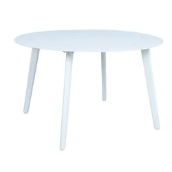 Homestar Miza D120xV73 cm bela