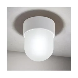 Orion - Plafonsko svetlo OSTIA 1xE27/40W/230V prečnik 9,8 cm bela
