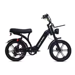 CAPRIOLO E-bike E-MATIC 20 (926810)