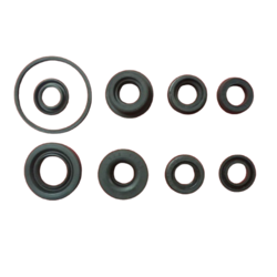Sigurno-st Set gumica za glavni kočioni cilindar za Citroen, Peugeot, Renault, Seat, Talbot, VW, Volvo, fi 20,6