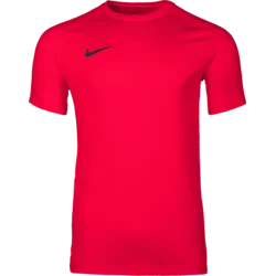 Nike Dres Dri-FIT Park VIII