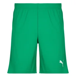 Puma TEAMRISE MATCHDAY Zelena