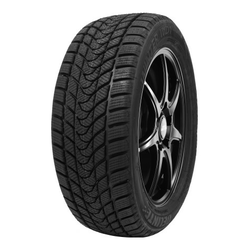 Delinte WD1 ( 195/65 R15 91H )