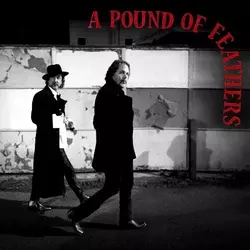 The Black Crowes - A Pound of Feathers (CD)