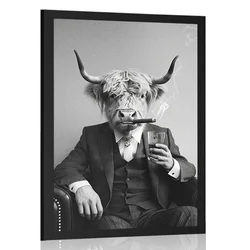 Plakat krava v obleki s cigaro in viskijem - 40x60 no frame