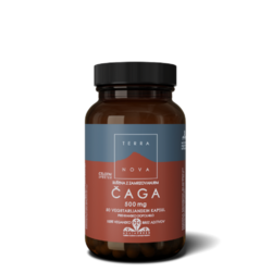 Terranova Liofilizovana čaga za jačanje imuniteta, 500Mg, 50 kapsula