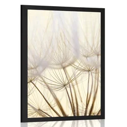 Plakat semena regrata - 40x60 black