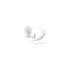 Birds Of Passage - Without The World (180g) (LP)