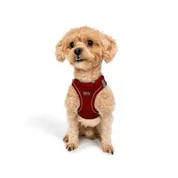 Paws & Whiskers Am za pse Air-Mesh, Crveni