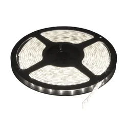 LED traka dnevno bela 120 LED/m, SMD 2835, IP65, 12V