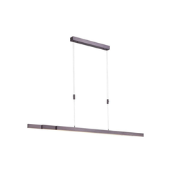 Paul Neuhaus 2568-24 - LED prigušiva luster na sajli ADRIANA LED/14W/230V