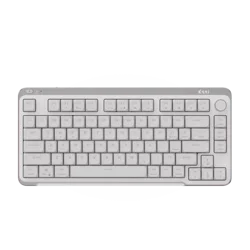 KZZI Tastatura, Siva