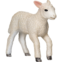 Moj Lamb romney teče