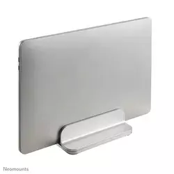 NSLS300SILVER