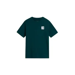 THE NORTH FACE Majica EVOLUTION BOX HALF DOME marine / svetlo siva / črna