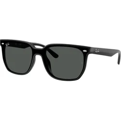 Ray-ban  0RB4466D 601/87  Črna