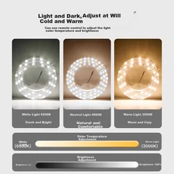 Beigong LED modul za plafonsku lampu, 80W, 32cm