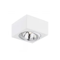 Spot Rhodes 263