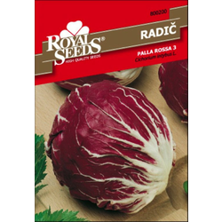 SEME ROYAL SEEDS 200 Radič Palla rossa 3