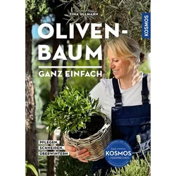 Olivenbaum ganz einfach