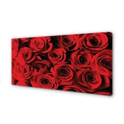 tulup.si Slika na platnu Roses 120x60 cm