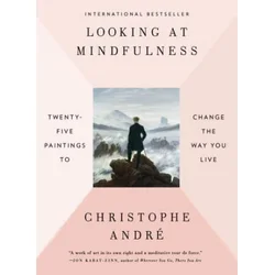 Looking at Mindfulness