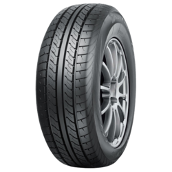 Nankang 225/55R17C 109/107H CW-20