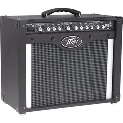 Peavey Envoy® 110