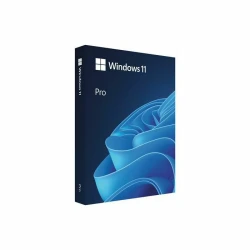 MICROSOFT Windows Pro 11 FPP angleški, USB