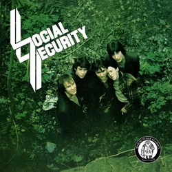 Social Security - I Dont Want My Heart To Rule My Head (LP)