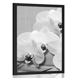 Plakat orhideja na platnu v črnobeli varianti - 60x90 black
