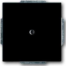 Busch-Jaeger Busch-Jaeger Centralni disk anth slepi pokrov s podpornim obročem 1742-81, (20858353)