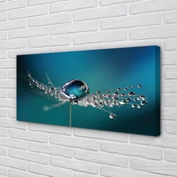 tulup.si Slika na platnu Kapljice makro regrat 100x50 cm