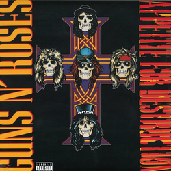 Guns N Roses Appetite For Destruction (Vinyl LP)